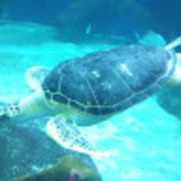 Meet your Posher, Jeremy - Picture 1 of 1